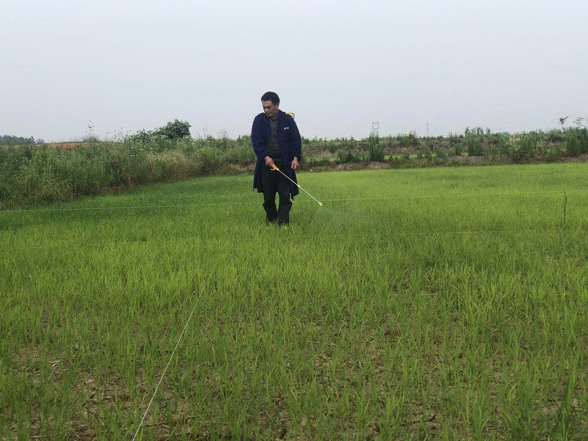 1735871421822535.jpg 4.jpg