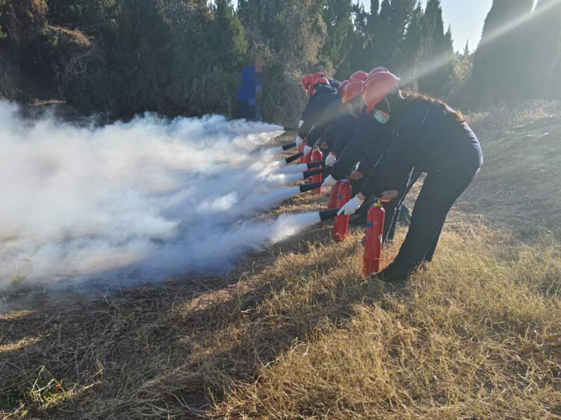 1737520286957479.jpg 640.jpg