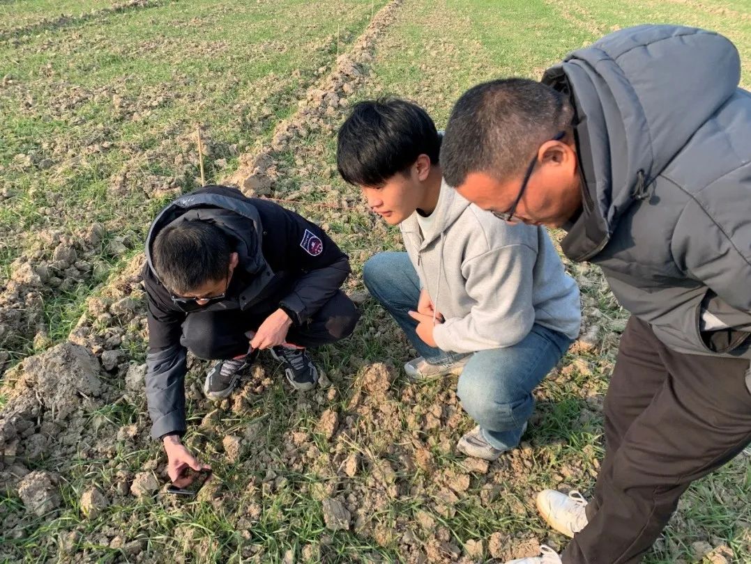 1738553126888479.jpg 1-9.jpg