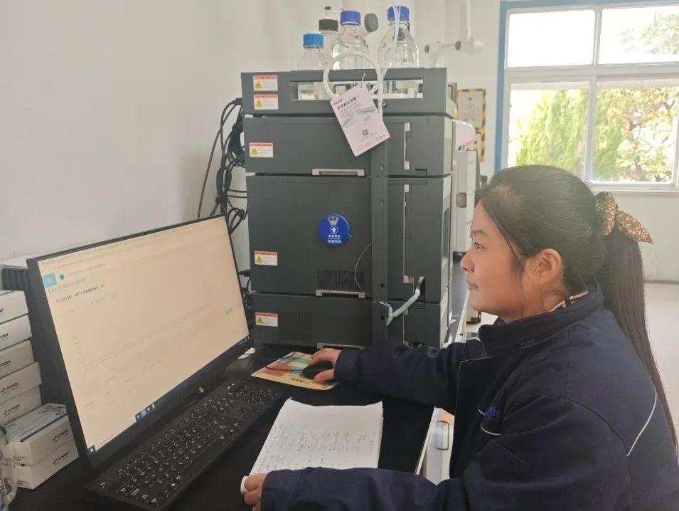 1738815449737837.jpg 3-3.jpg