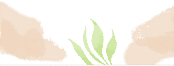 1739927684745040.png 5.png