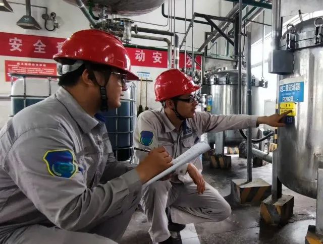 1739927764695341.jpg 2.jpg