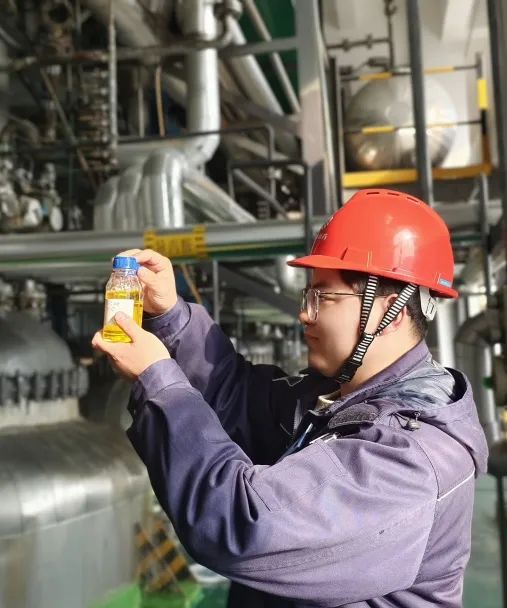 1739927790593384.jpg 4.jpg