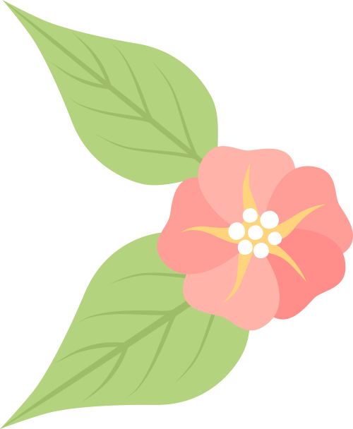 1741746801775577.png 1.png