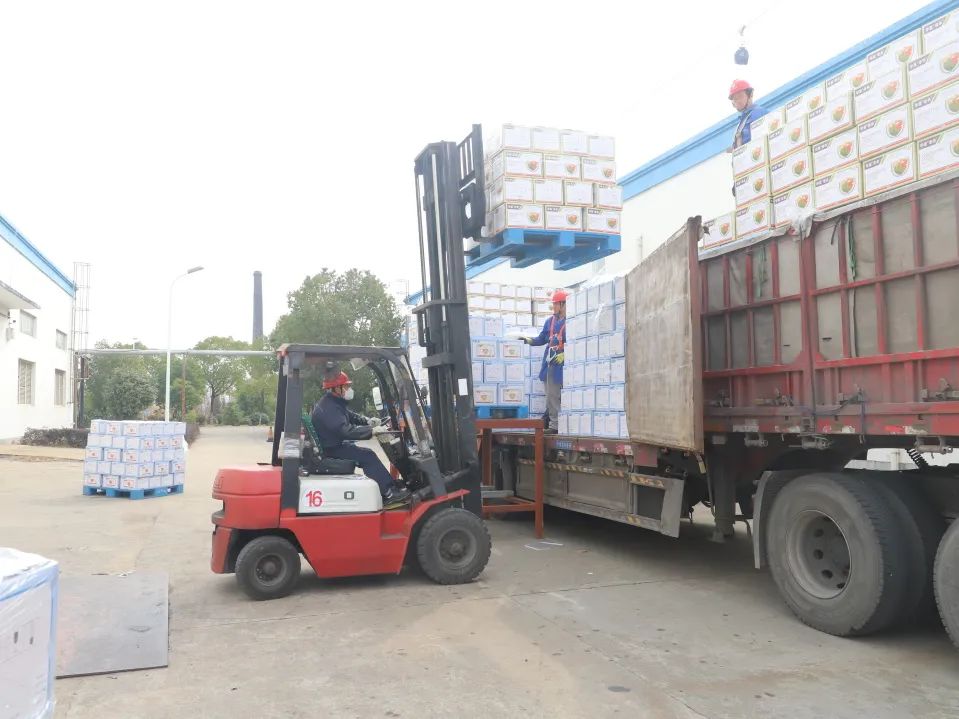 1742177325204684.jpg 9.jpg